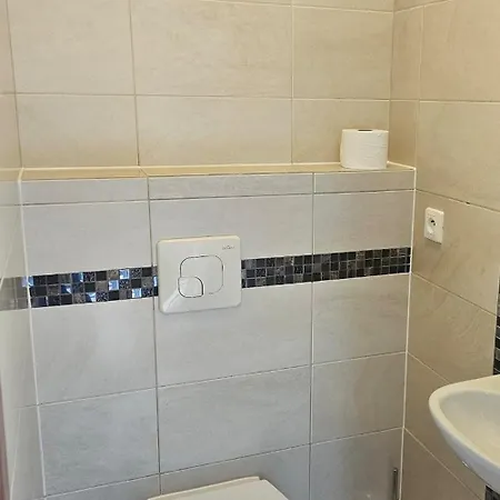 בית נופש Goldenberg House קולובז'ג